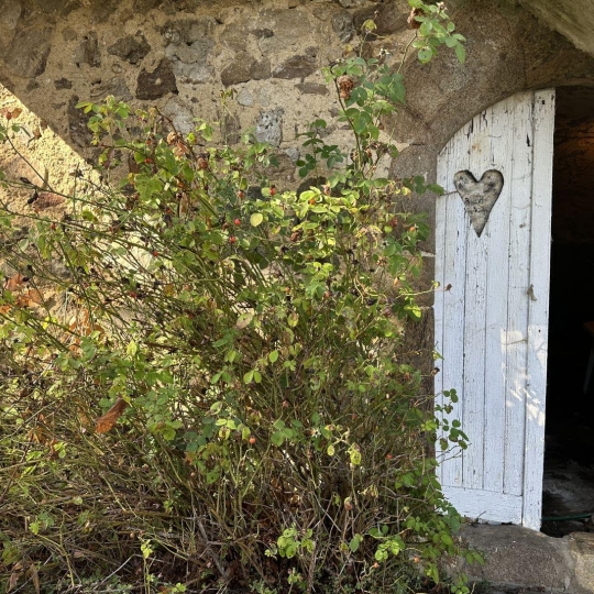  Annonces AUBENAS : House | VALS-LES-BAINS (07600) | 68 m2 | 82 000 € 