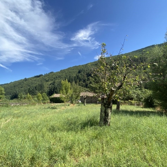 Agence PIERRE FRANCOIS : Terrain | BARNAS (07330) | m2 | 35 000 € 